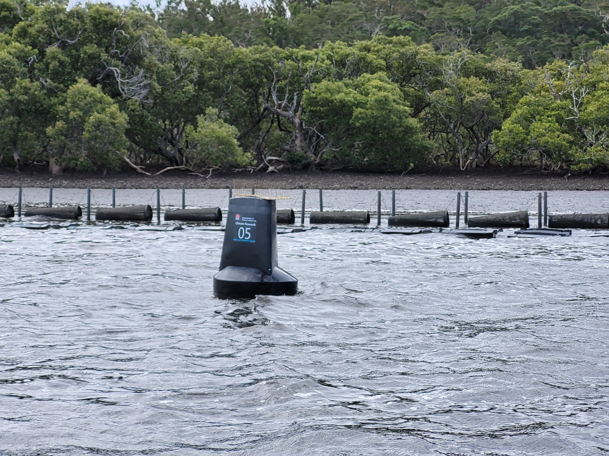 Clyde estuary monitoring buoy